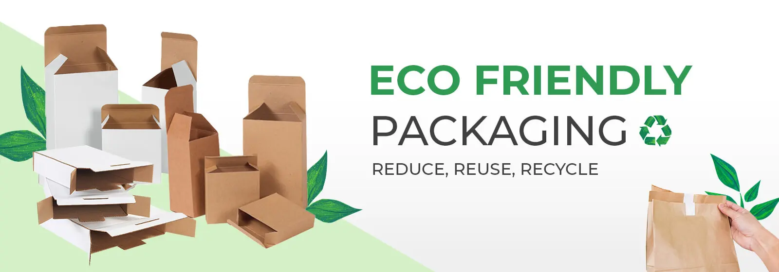 Eco pack 2024