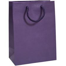 Tint Tote Bags