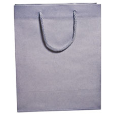 Silver Aubrey Shopping Bags
