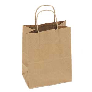 8 x 4 x 10 Kraft Shopping Bag 250/Case