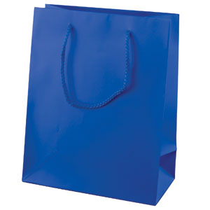 Blue shopping online bag