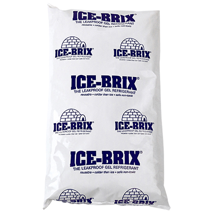 24 oz. ( 8 x 6 x 1 1/4 ) Ice-Brix 12/Cs