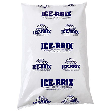 32 oz. ( 10 x 6 x 1 1/2 ) Ice-Brix 9/Cs