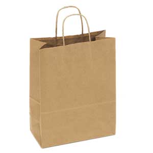 10 x 5 x 13 Kraft Shopping Bag 250/Case