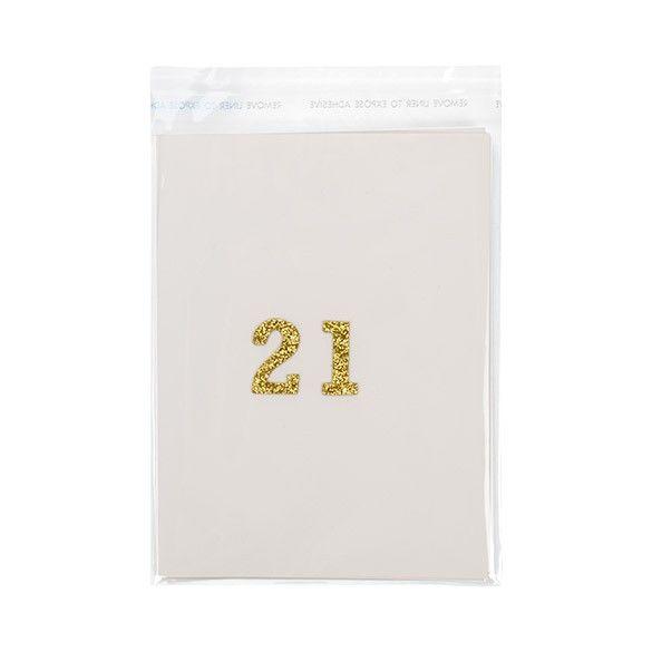 4 7/8" x 6" + Flap, Crystal Clear Bags, A2/5 1/2 Bar (100 Pieces)