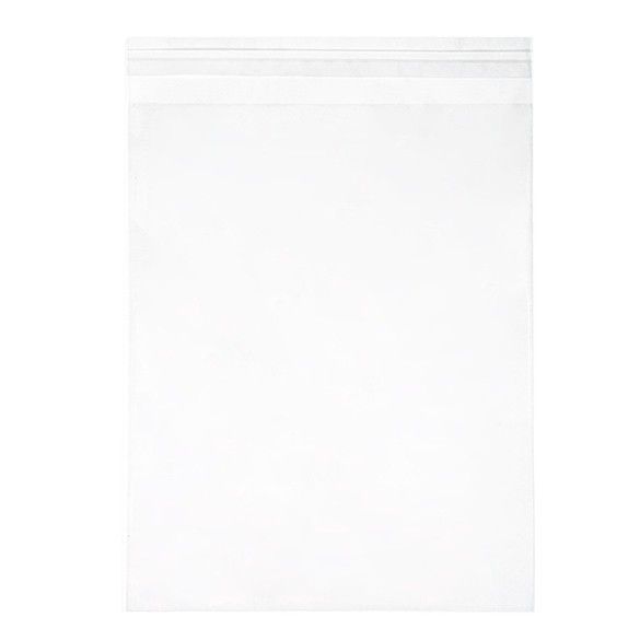 8 1/4" x 10 1/8" + Flap, Crystal Clear Bags (100 Pieces)