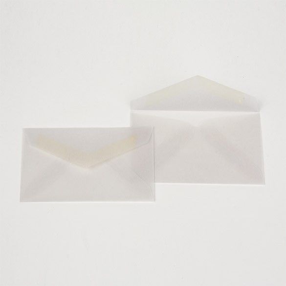 2 1/8" x 3 5/8" Translucent Vellum Envelope (50 Pieces)