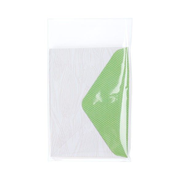 4 1/16" x 5 3/8" + Flap, Crystal Clear Protective Closure Bags, A1/4 Bar (100 Pieces)