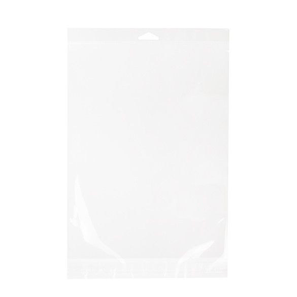 9 1/4" x 12 1/4" + Flap, Crystal Clear Hanging Bags (100 Pieces)